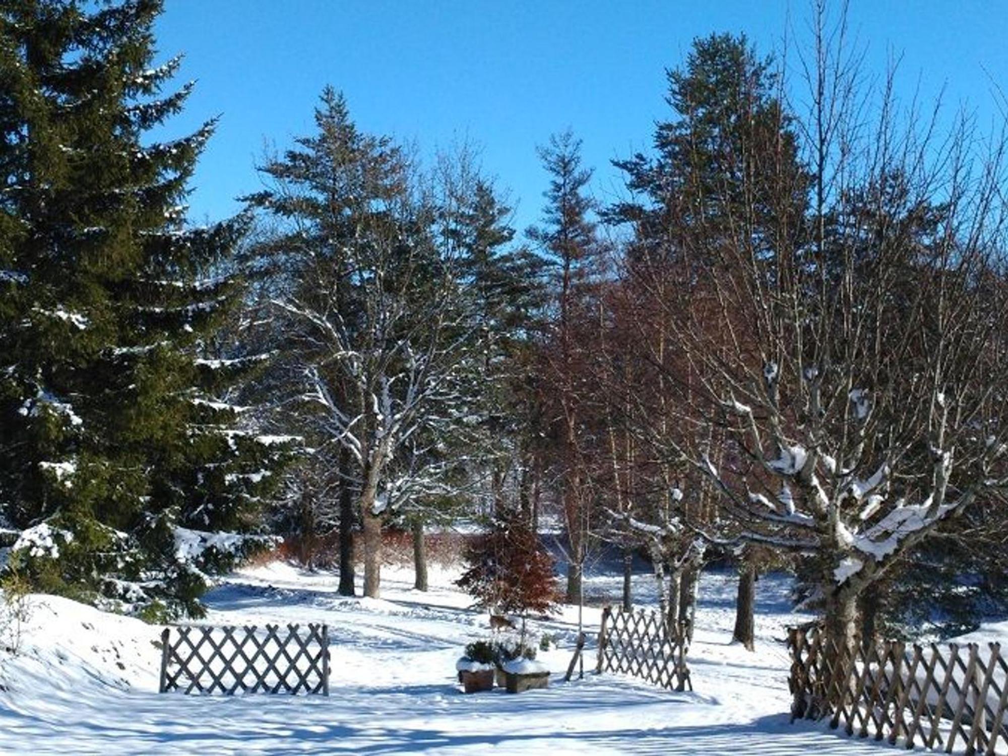 Gîte Le Chambon-sur-Lignon, 4 pièces, 5 personnes - FR-1-582-137 Extérieur photo